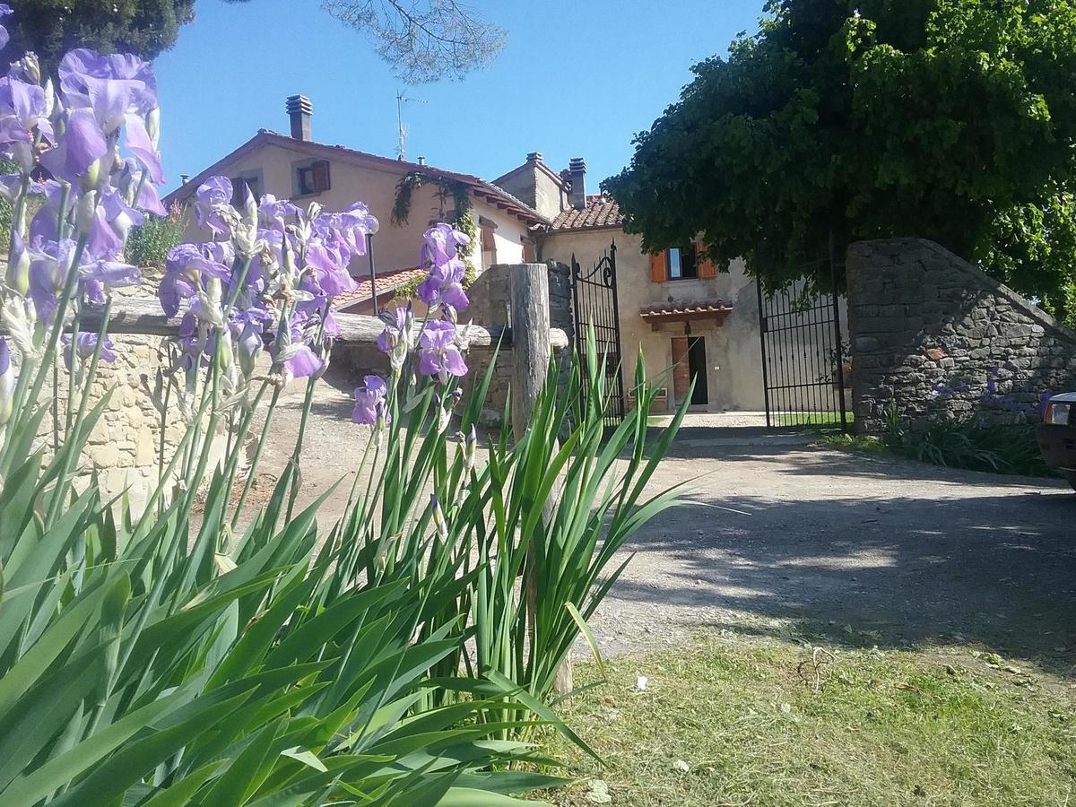 Apartament Casa Vacanze Podere Ugolini Ronta Zewnętrze zdjęcie