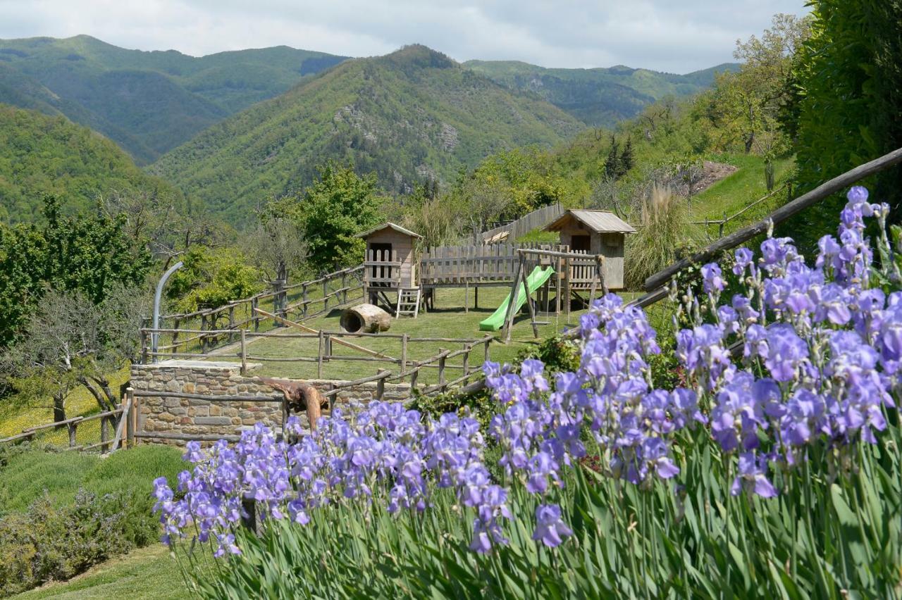 Apartament Casa Vacanze Podere Ugolini Ronta Zewnętrze zdjęcie